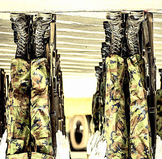 The Politics of Coups d'état