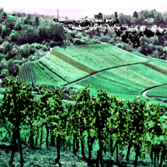 City vs. Country: Raymond Williams